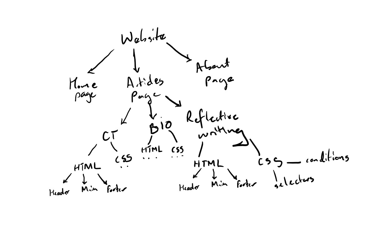 The website design logic tree from the designer.